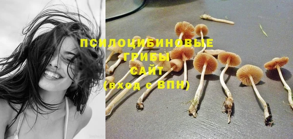 mdpv Белокуриха