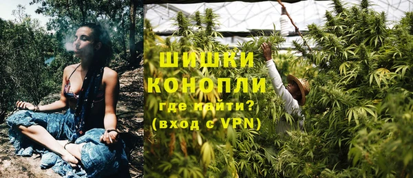 spice Богданович