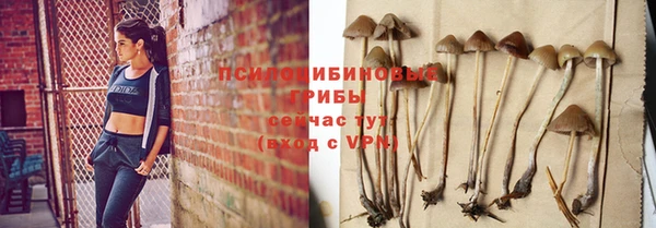 сатива Струнино