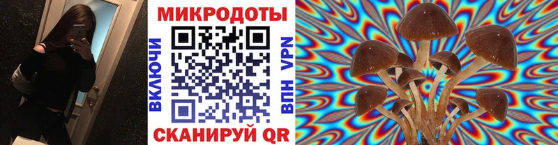 Псилоцибиновые грибы мицелий  Кораблино 